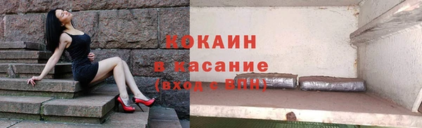 крисы Баксан