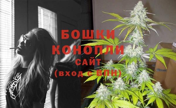 крисы Баксан
