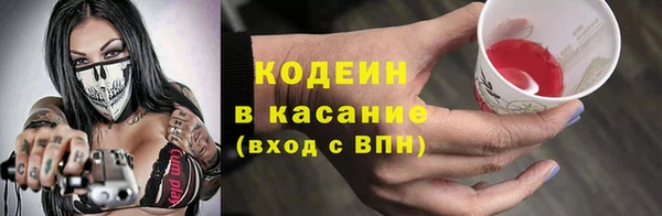 крисы Баксан