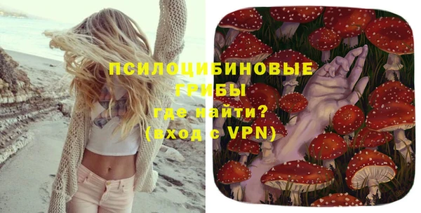 крисы Баксан