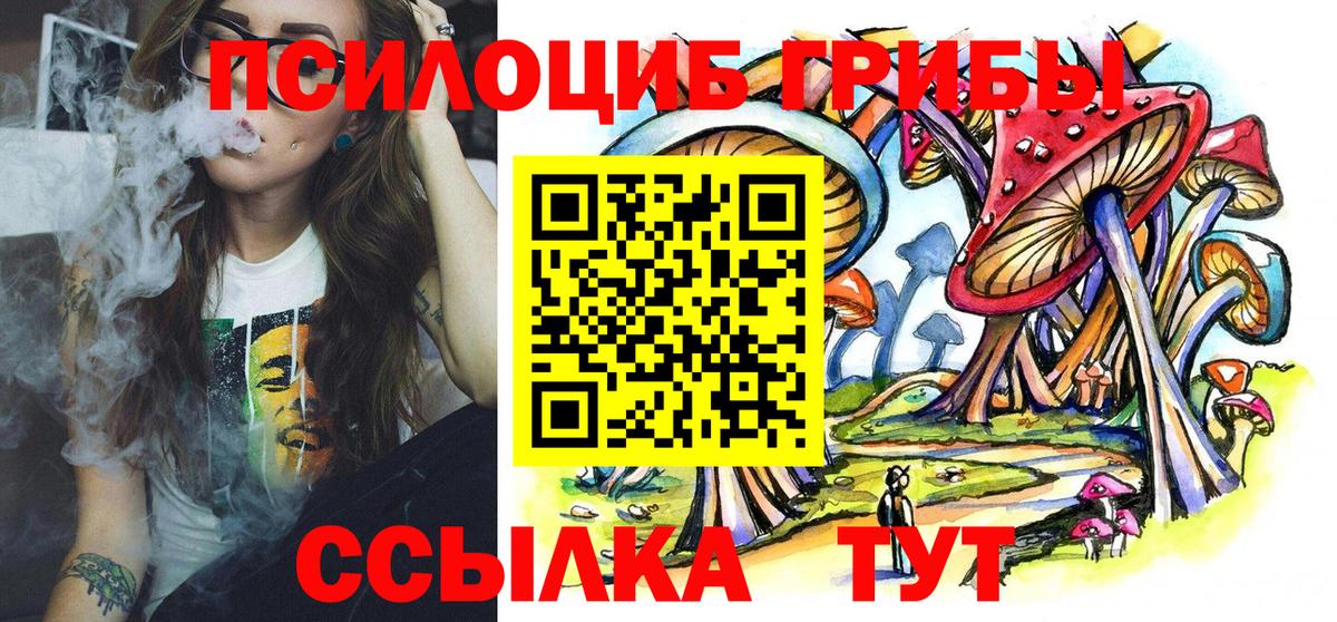 Псилоцибиновые грибы мицелий Новомосковск